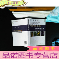 新疆林木害虫野外识别手册.