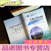 青藏高原及邻区大地构造图及说明书 : 1:1500000【附4张地图】