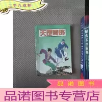 正 九成新天罡奇阵 中