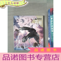 正 九成新黑鹤动物小说儿童彩绘拼音版·雪地鸟群