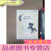 正 九成新老马威尼·溜蹄的野马