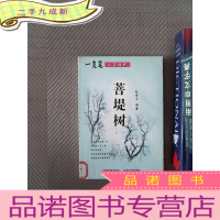 正 九成新菩提树 二