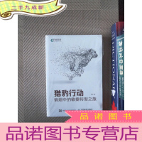 正 九成新猎豹行动 硝烟中的敏捷转型之旅