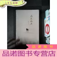 正 九成新在大地上