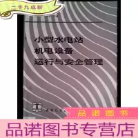 正 九成新小型水电站机电设备运行与安全管理·