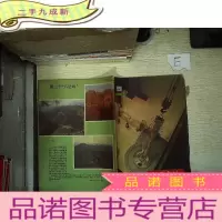 正 九成新科学实验 1981 5