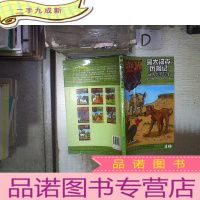 正 九成新警犬汉克历险记40—捕鸟犬失踪案