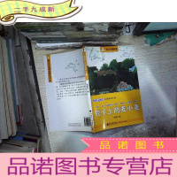 正 九成新南方分级阅读·四年级(轮子上的麦小麦