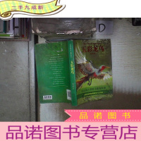 正 九成新五彩龙鸟‘’ 。、