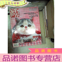 正 九成新宠物世界 2007 11