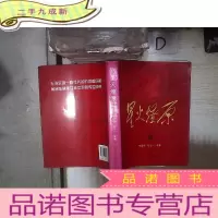正 九成新星火燎原全集(第13卷) 。