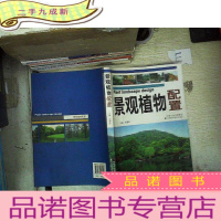 正 九成新景观植物配置