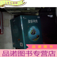 正 九成新多彩鱼类 真骨鱼类....