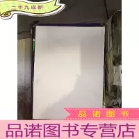 正 九成新朴灿烈 写真集