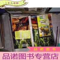 正 九成新tropical maize热带玉米