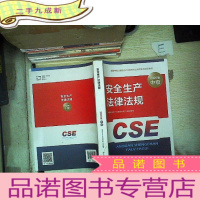 正 九成新安全生产法律法规 2020版中级