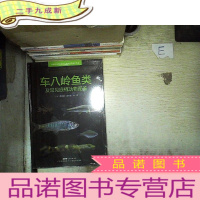 正 九成新车八岭鱼类及常见底栖动物图鉴