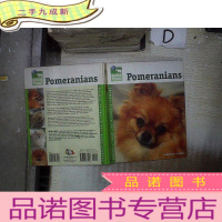 正 九成新Pomeranians 博美犬 。