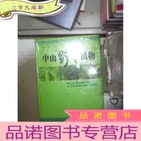 正 九成新中山野生植物