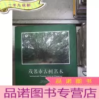 正 九成新茂名市古树名木 。