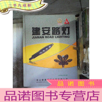 正 九成新建安路灯诺其照明