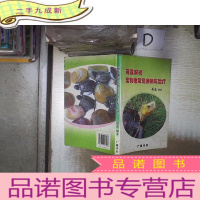 正 九成新荷莲解说宠物龟常见疾病与治疗