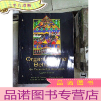 正 九成新ORGANIZATIONAL BEHAVIOR AN EXPERIENTIAL APPROACH EIGHT