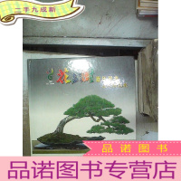 正 九成新花与树嘉年华会盆栽精品展