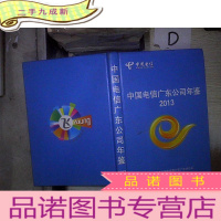 正 九成新中国电信广东公司年鉴 2013 。