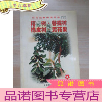 正 九成新榕树菩提树橡皮树无花果