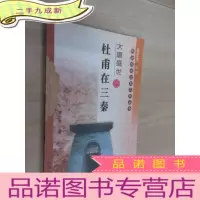 正 九成新大唐盛世:杜甫在三秦