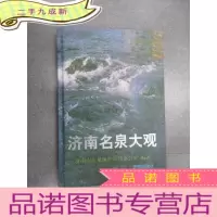 正 九成新济南名泉大观