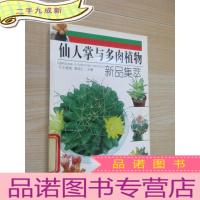 正 九成新仙人掌与多肉植物新品集萃