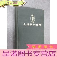 正 九成新人体解剖图谱