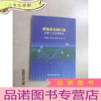 正 九成新耕地重金属污染及第三方治理研究