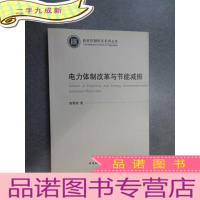 正 九成新电力体制改革与节能减排/政府管制研究系列文库