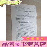 正 九成新苔草属复序苔草亚属植物果皮的扫描电镜观察