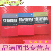 正 九成新《服务业六西格玛实战》《六西格玛控制阶段》《六西格玛定义测量阶段》3本合售