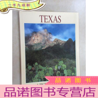 正 九成新TEXAS A PICTURE MEMORY 硬