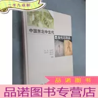 正 九成新中国东北中生代昆虫化石
