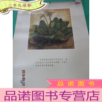 正 九成新哈默藏画 油画挂历 全14张