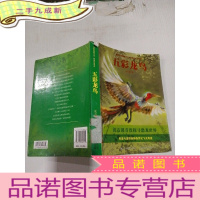 正 九成新五彩龙鸟