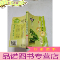 正 九成新插花盆景鉴赏