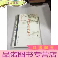 正 九成新我的家在高原上