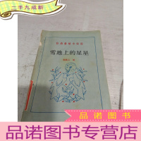 正 九成新雪地上的星星