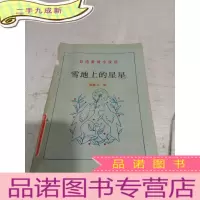 正 九成新雪地上的星星