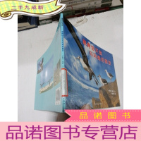 正 九成新黑背信天翁与风是好朋友