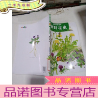 正 九成新自然科学绘本田野花虫