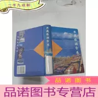 正 九成新西藏旅游全书
