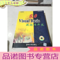 正 九成新Visual Basic 6.0数据库开发 ...